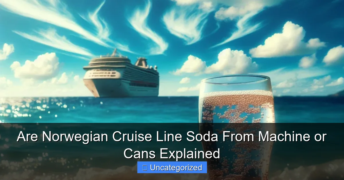 Are Norwegian Cruise Line Soda From Machine or Cans Explained