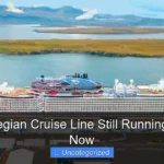 Are Norwegian Cruise Line Still Running Find Out Now