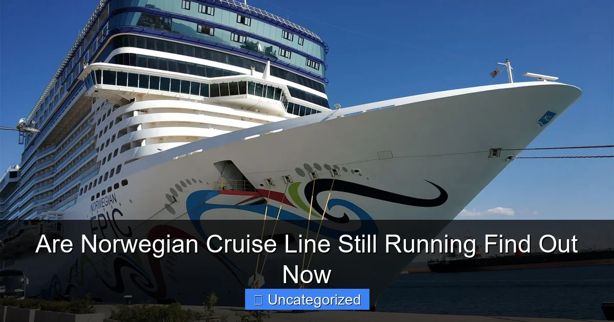 Are Norwegian Cruise Line Still Running Find Out Now