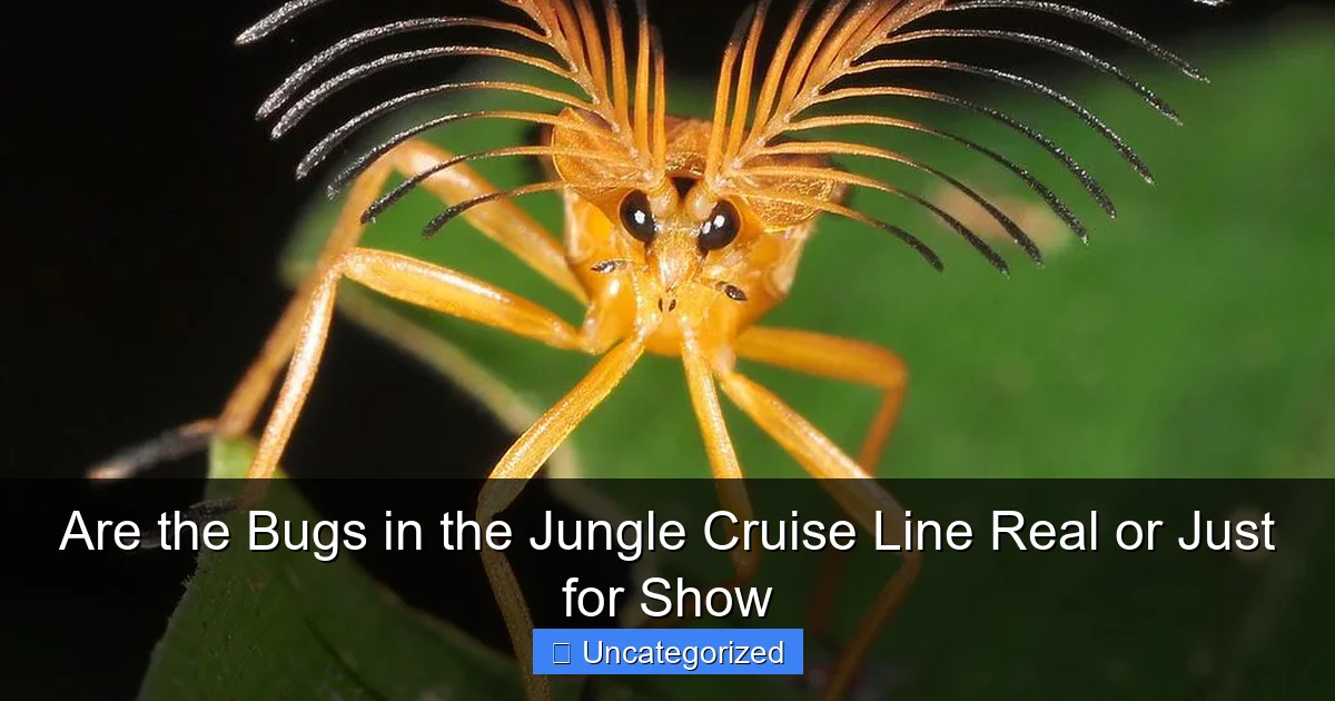 Are the Bugs in the Jungle Cruise Line Real or Just for Show