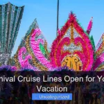 Are Carnival Cruise Lines Open for Your Next Vacation