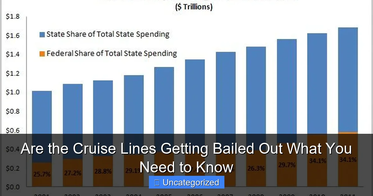 Are the Cruise Lines Getting Bailed Out What You Need to Know