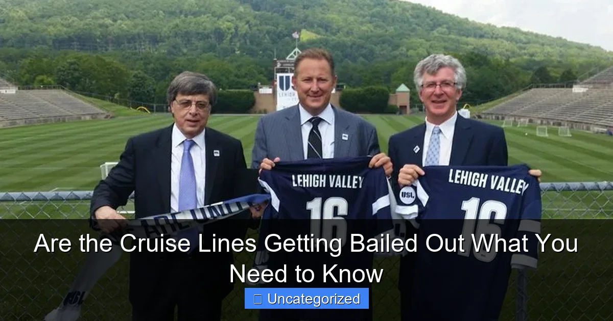 Are the Cruise Lines Getting Bailed Out What You Need to Know