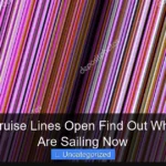 Are the Cruise Lines Open Find Out Which Ones Are Sailing Now