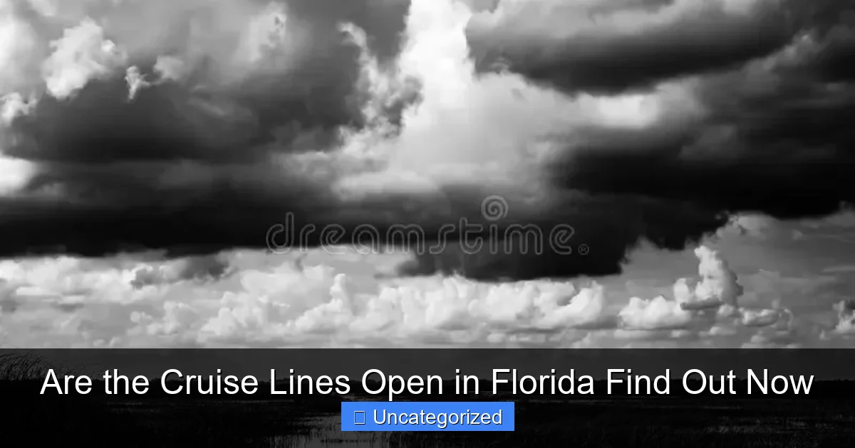 Are the Cruise Lines Open in Florida Find Out Now