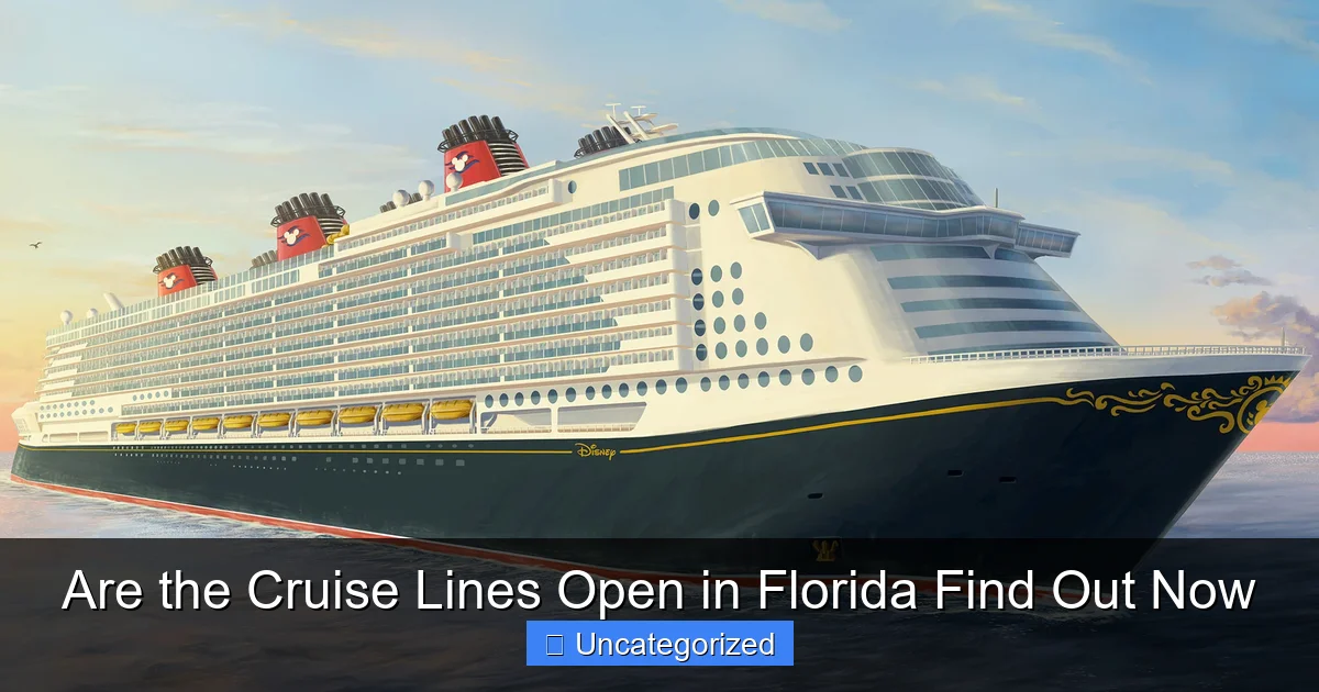 Are the Cruise Lines Open in Florida Find Out Now