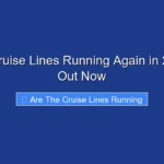 Are the Cruise Lines Running Again in 2024 Find Out Now