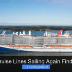Are the Cruise Lines Sailing Again Find Out Now