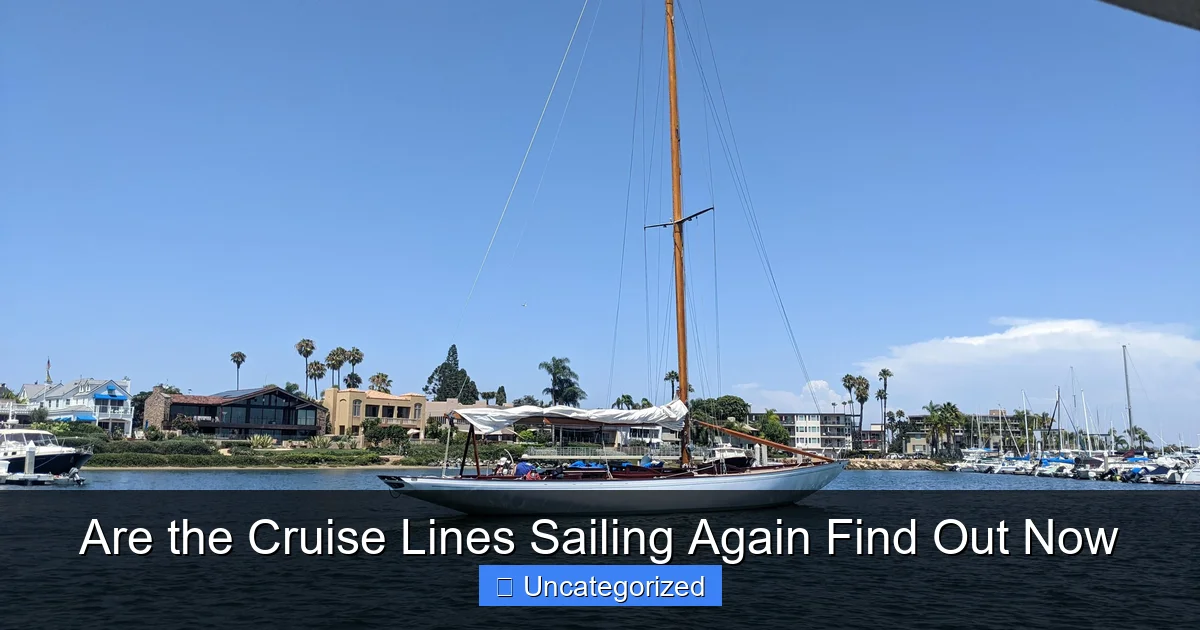 Are the Cruise Lines Sailing Again Find Out Now