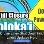 Are the Cruise Lines Shut Down Find Out the Latest Updates Here