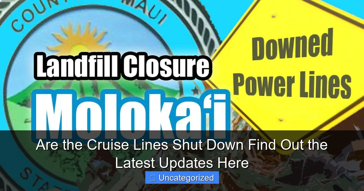 Are the Cruise Lines Shut Down Find Out the Latest Updates Here