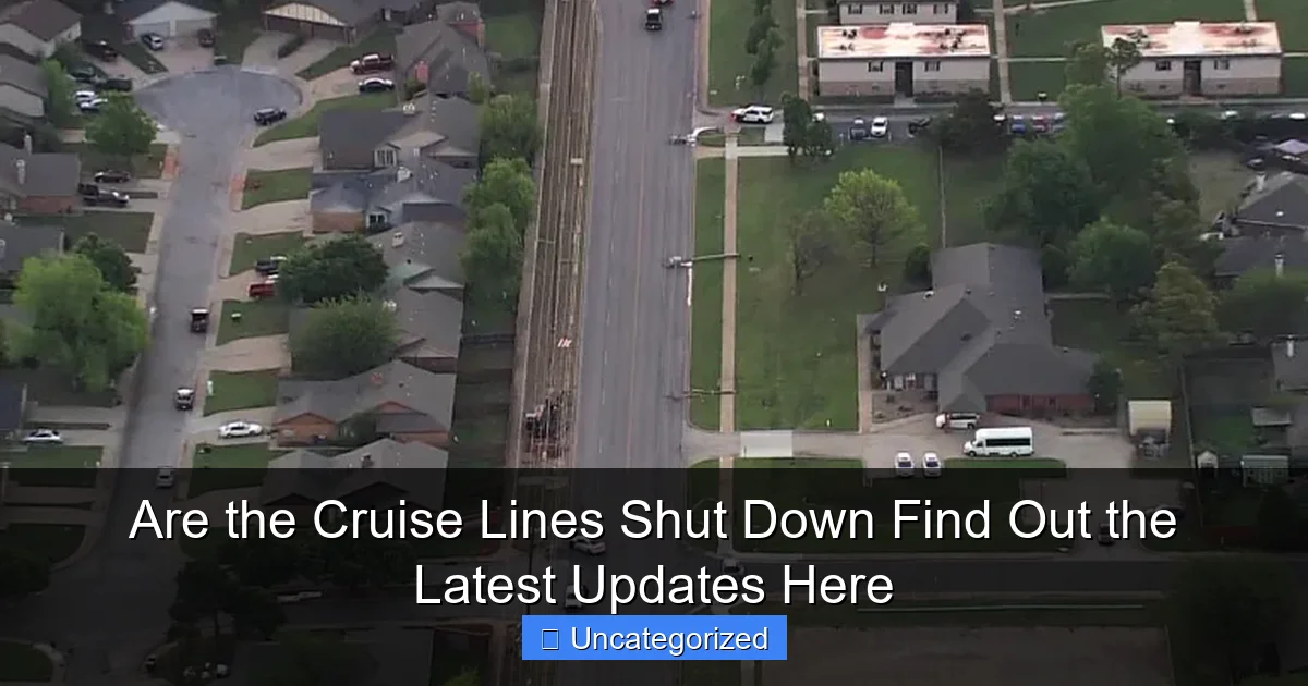 Are the Cruise Lines Shut Down Find Out the Latest Updates Here