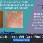 Are the Cruise Lines Still Open Find Out Now