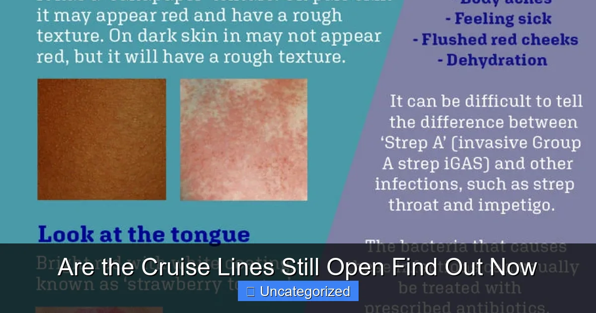 Are the Cruise Lines Still Open Find Out Now