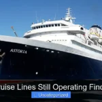 Are the Cruise Lines Still Operating Find Out Now