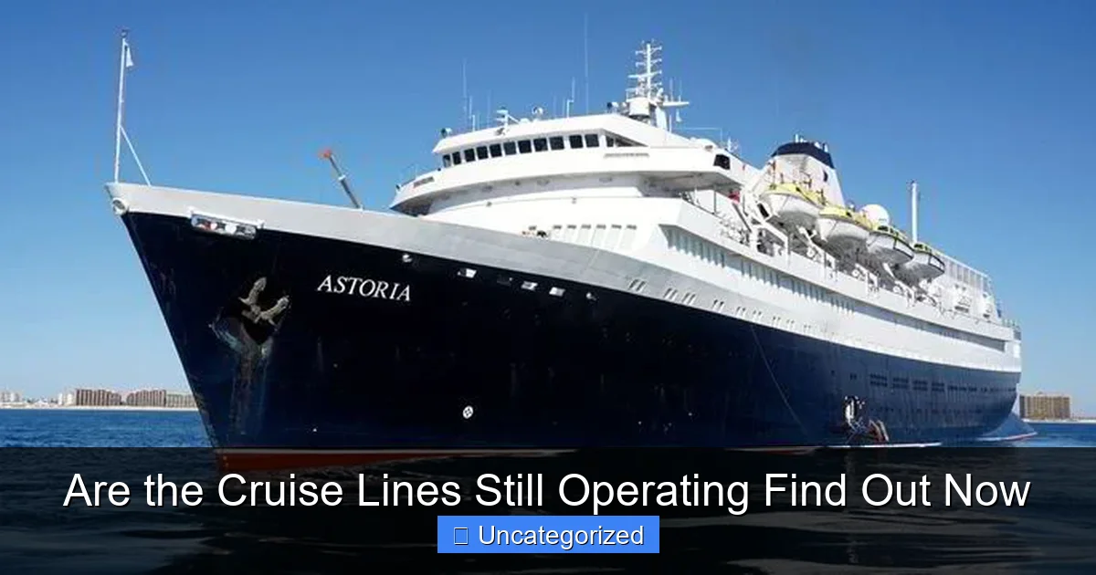 Are the Cruise Lines Still Operating Find Out Now