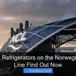 Are There Refrigerators on the Norwegian Cruise Line Find Out Now