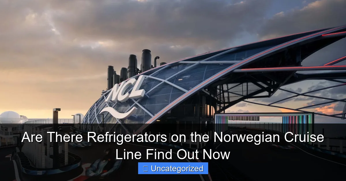 Are There Refrigerators on the Norwegian Cruise Line Find Out Now