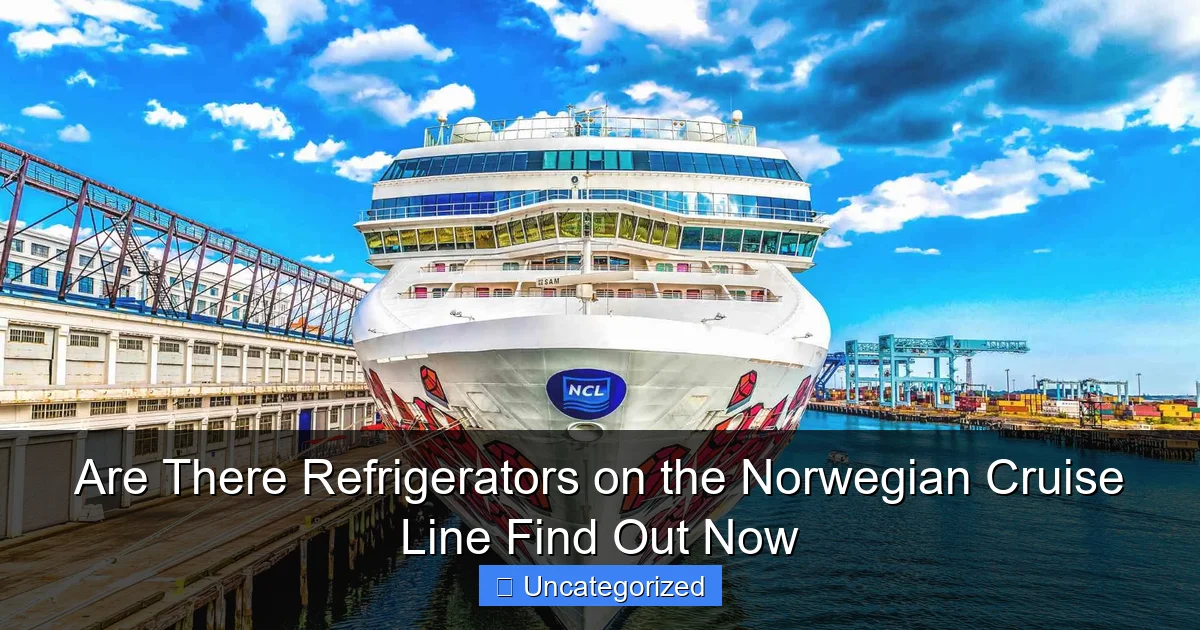 Are There Refrigerators on the Norwegian Cruise Line Find Out Now