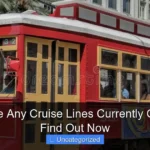 Are There Any Cruise Lines Currently Operating Find Out Now