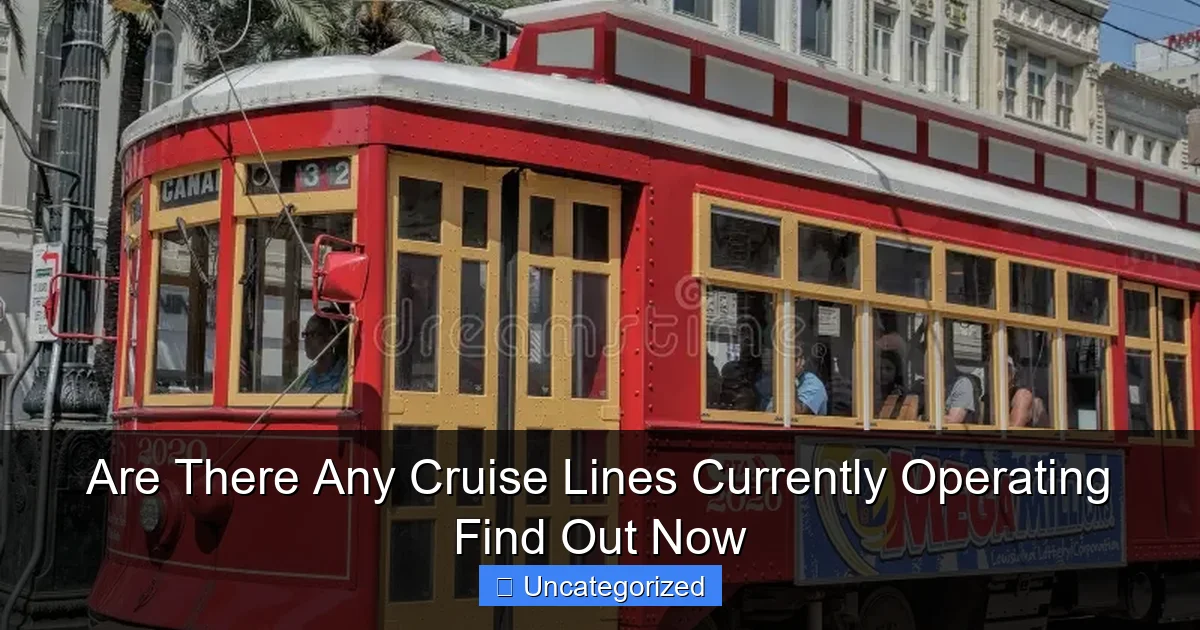 Are There Any Cruise Lines Currently Operating Find Out Now