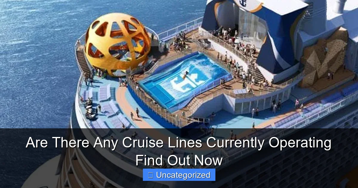 Are There Any Cruise Lines Currently Operating Find Out Now