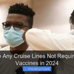 Are There Any Cruise Lines Not Requiring Covid Vaccines in 2024