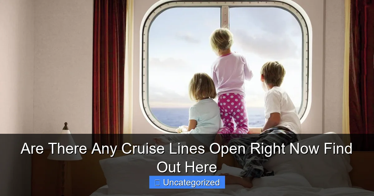 Are There Any Cruise Lines Open Right Now Find Out Here
