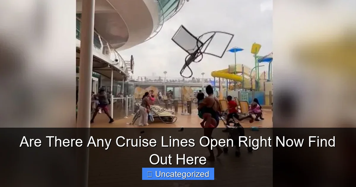 Are There Any Cruise Lines Open Right Now Find Out Here