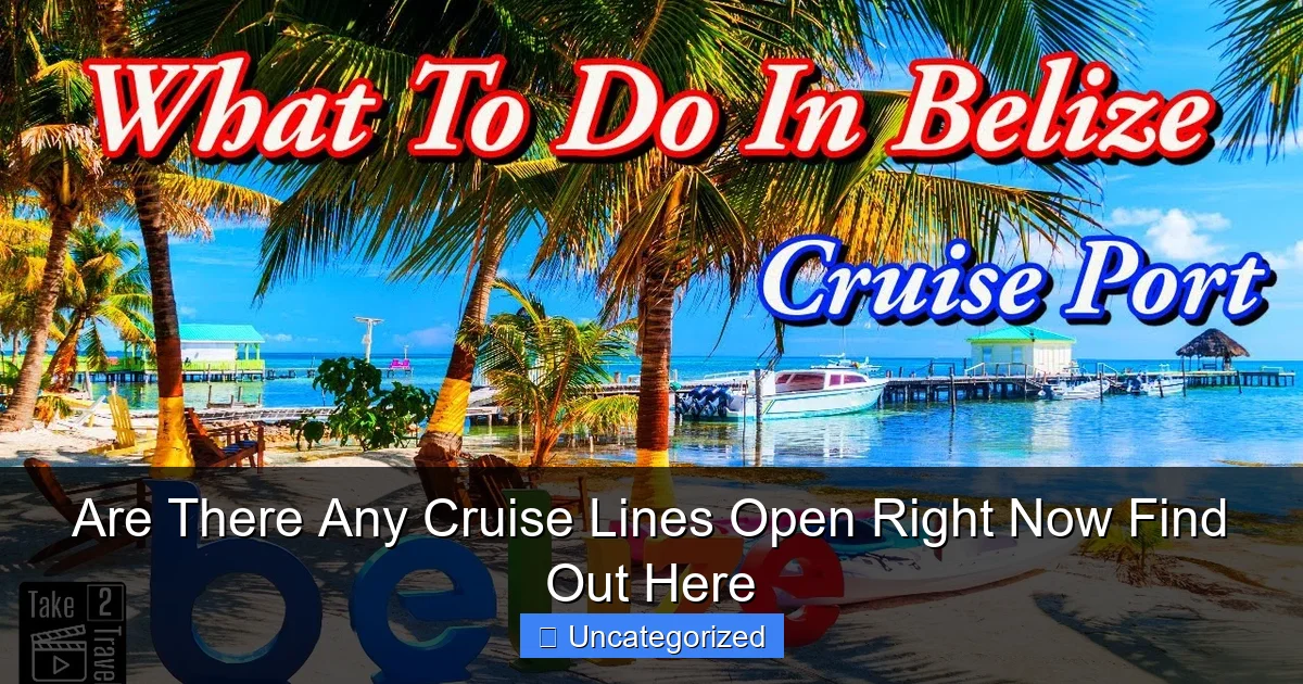 Are There Any Cruise Lines Open Right Now Find Out Here