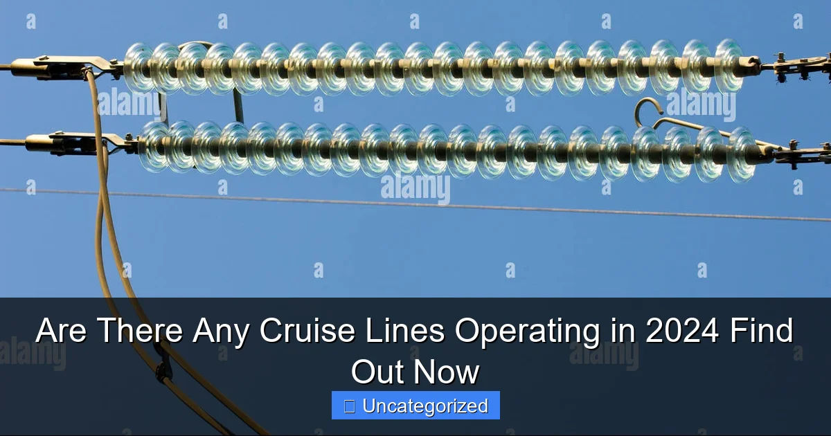 Are There Any Cruise Lines Operating in 2024 Find Out Now