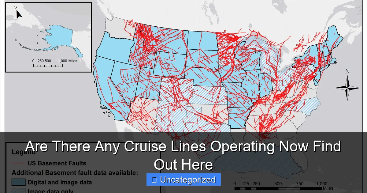 Are There Any Cruise Lines Operating Now Find Out Here