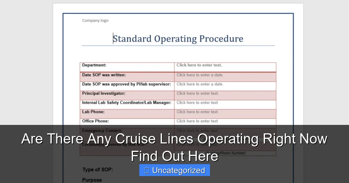 Are There Any Cruise Lines Operating Right Now Find Out Here