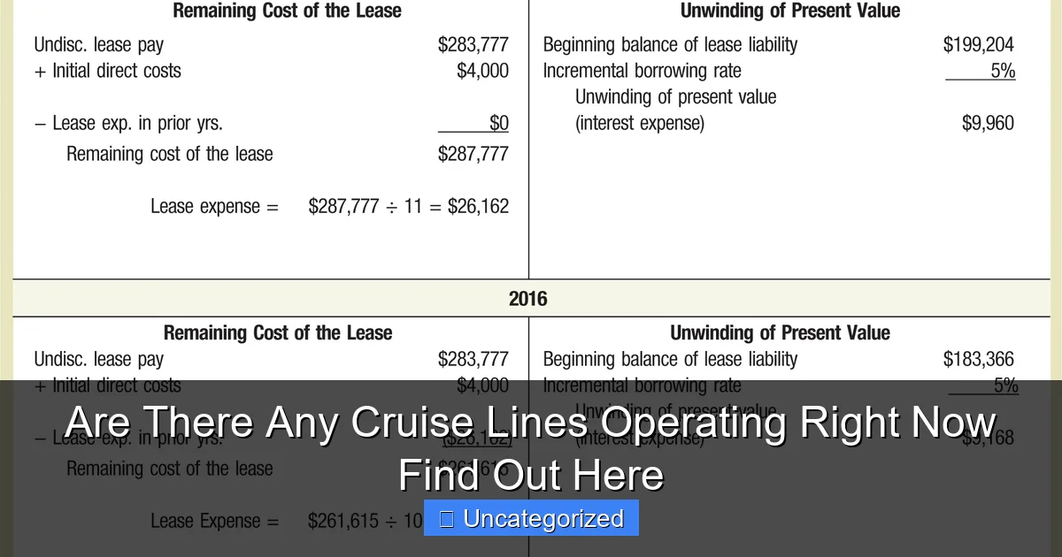 Are There Any Cruise Lines Operating Right Now Find Out Here