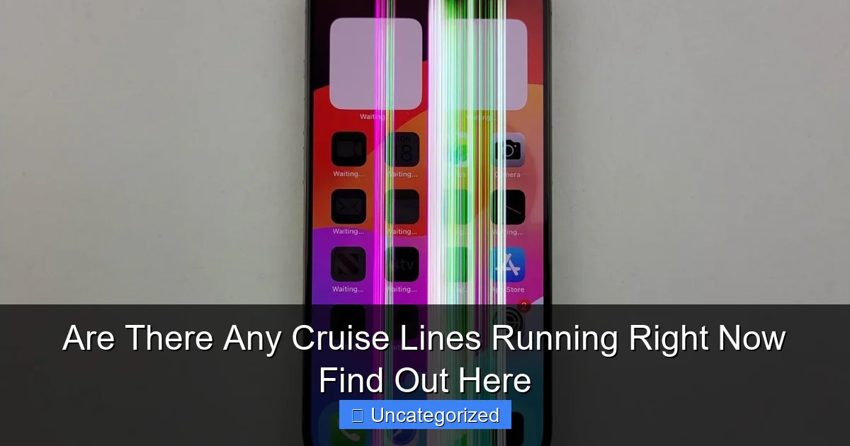 Are There Any Cruise Lines Running Right Now Find Out Here