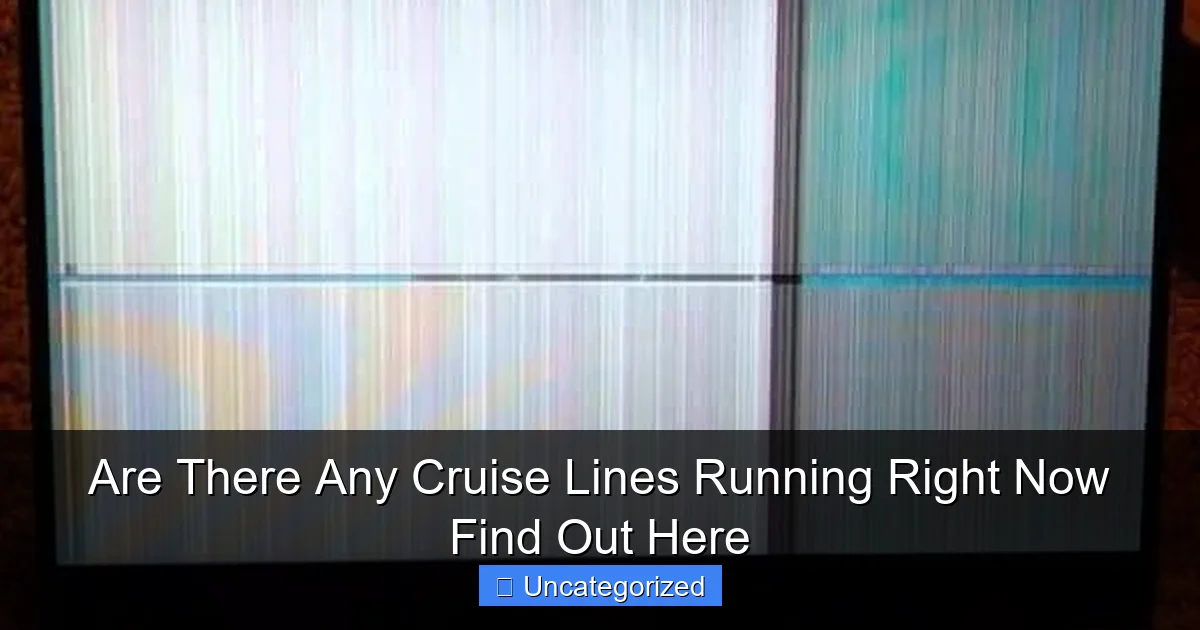 Are There Any Cruise Lines Running Right Now Find Out Here