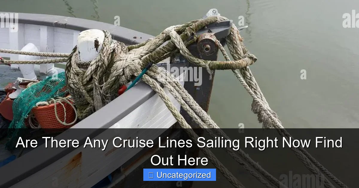 Are There Any Cruise Lines Sailing Right Now Find Out Here