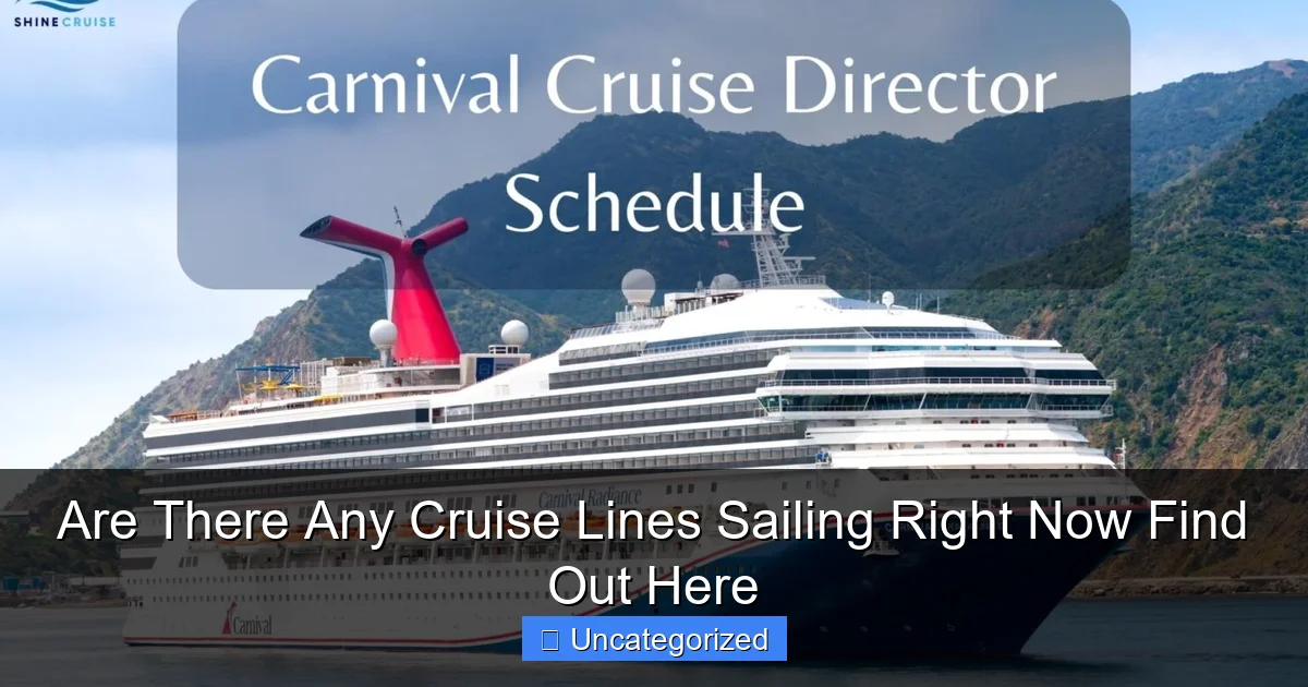 Are There Any Cruise Lines Sailing Right Now Find Out Here