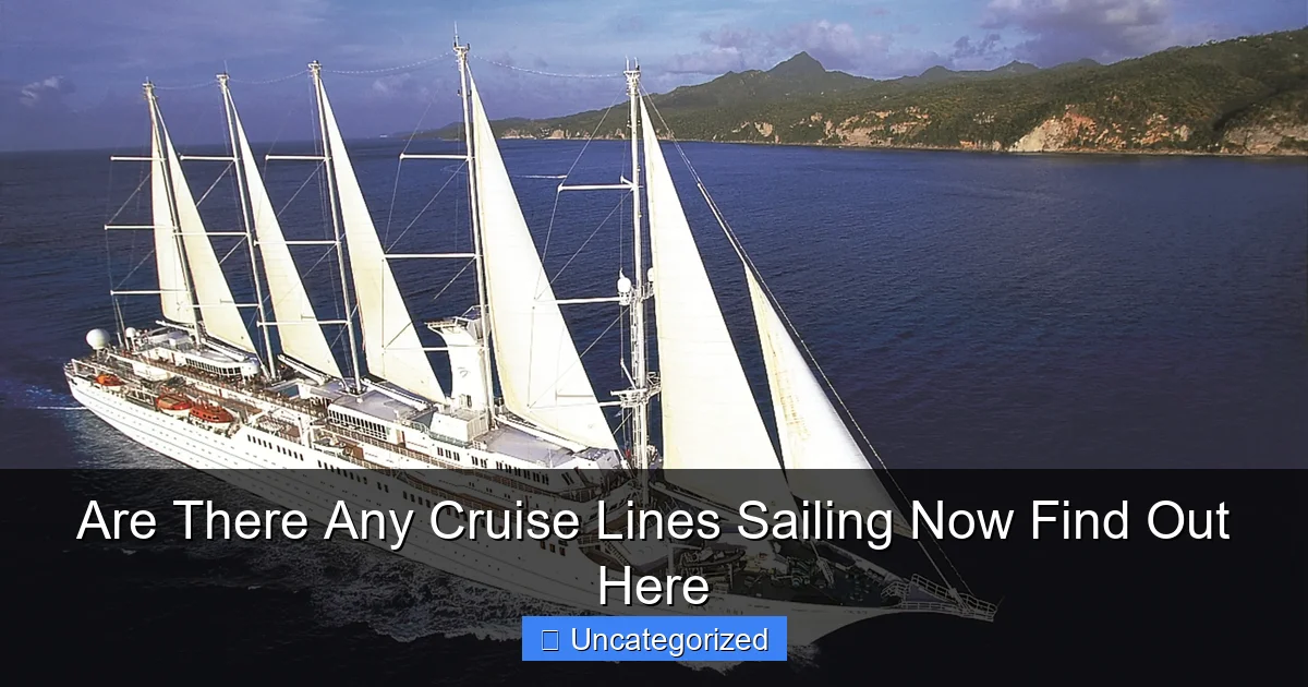 Are There Any Cruise Lines Sailing Now Find Out Here