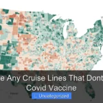 Are There Any Cruise Lines That Dont Require Covid Vaccine