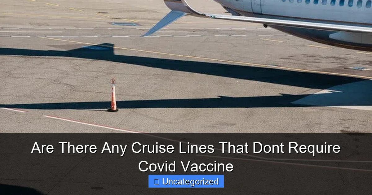 Are There Any Cruise Lines That Dont Require Covid Vaccine