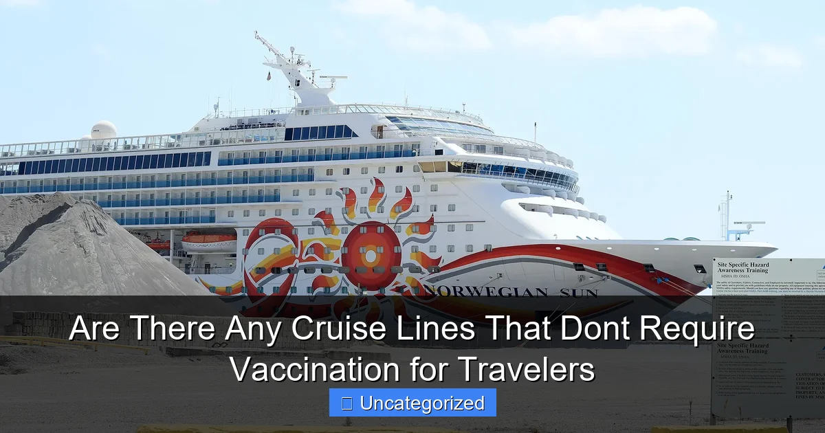 Are There Any Cruise Lines That Dont Require Vaccination for Travelers