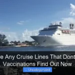 Are There Any Cruise Lines That Dont Require Vaccinations Find Out Now