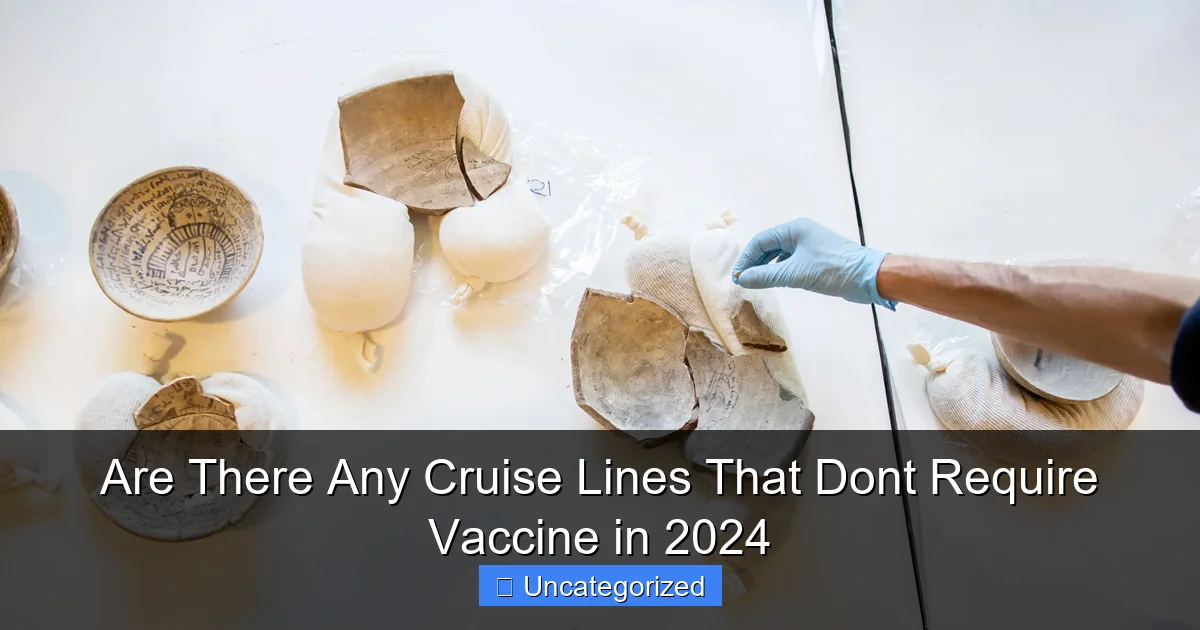 Are There Any Cruise Lines That Dont Require Vaccine in 2024