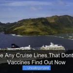 Are There Any Cruise Lines That Dont Require Vaccines Find Out Now