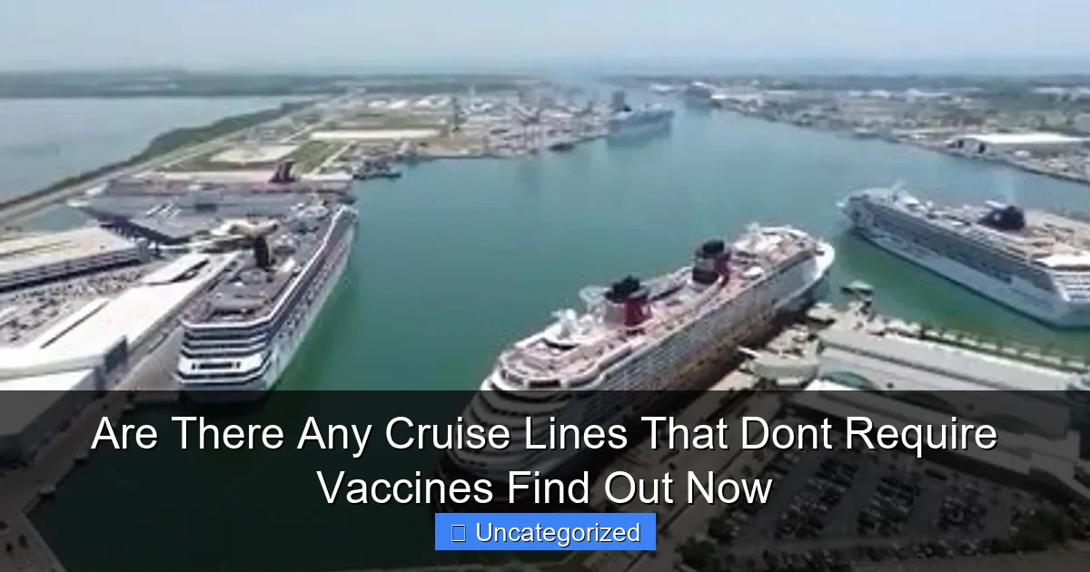 Are There Any Cruise Lines That Dont Require Vaccines Find Out Now