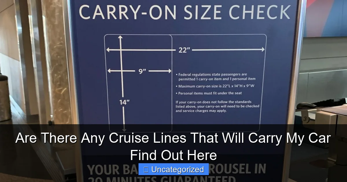 Are There Any Cruise Lines That Will Carry My Car Find Out Here