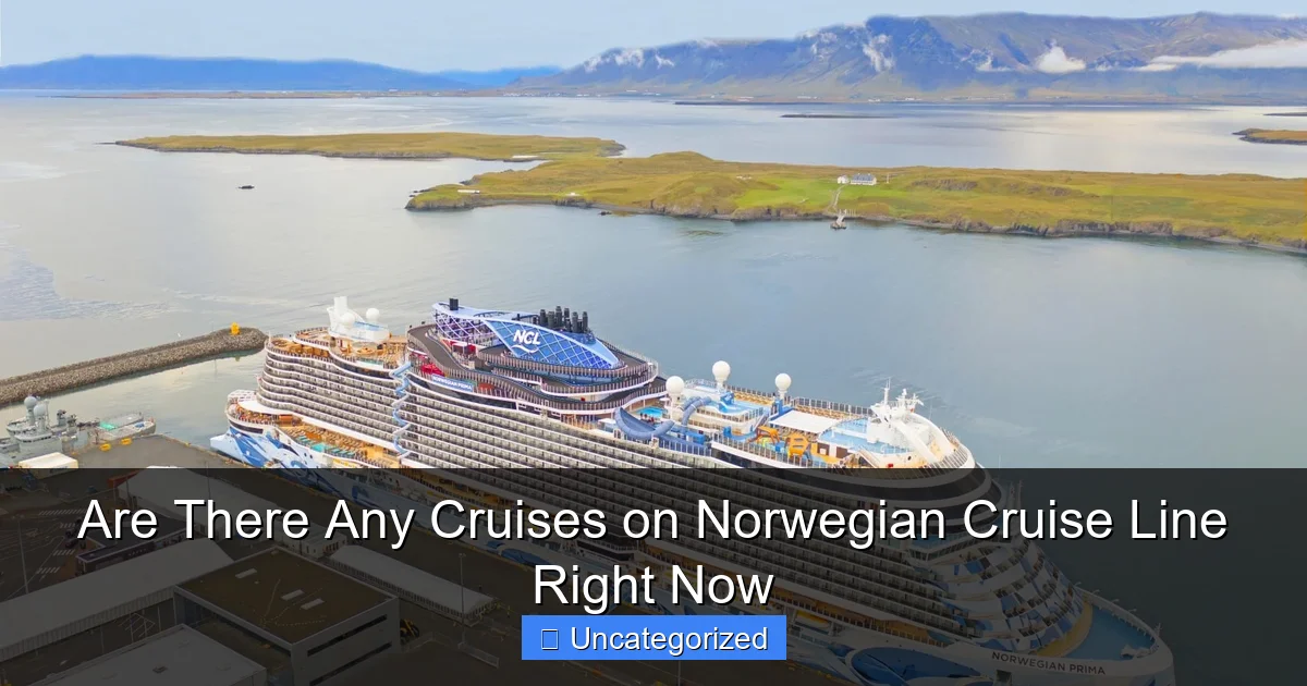 Are There Any Cruises on Norwegian Cruise Line Right Now