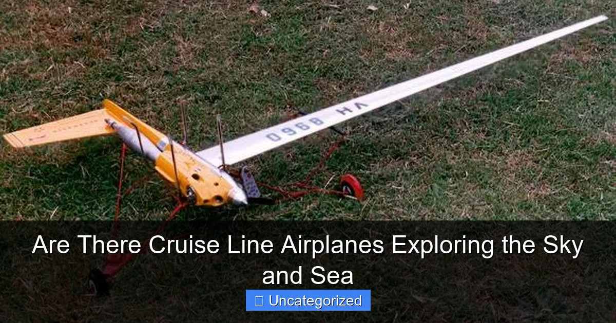 Are There Cruise Line Airplanes Exploring the Sky and Sea