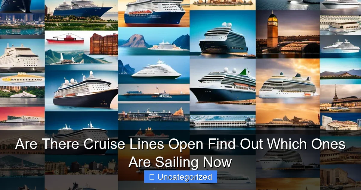 Are There Cruise Lines Open Find Out Which Ones Are Sailing Now